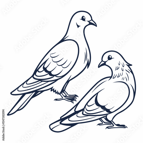 Two pigeons line art illustration bird graphic design