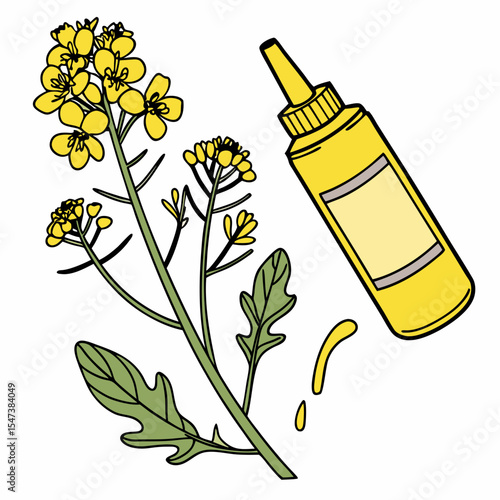 Mustard plant flowers and bottle of mustard oil