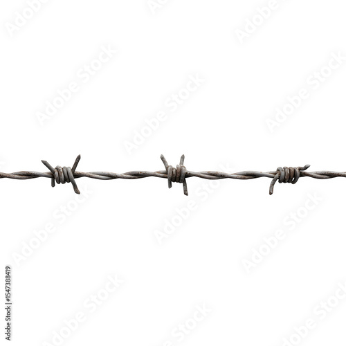 Wallpaper Mural Barbed Wire Strand 3d rendered isolated on transparent background Torontodigital.ca