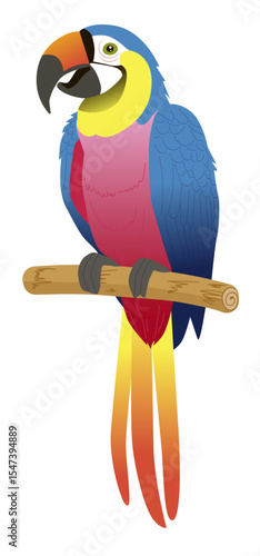 Adorable bright vector illustration of macaw parrot on a branch isolated on white background for summer and tropical wild animals collection. Children s Printing Design