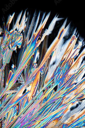 Detailed view of wine acid microcrystals under a microscope