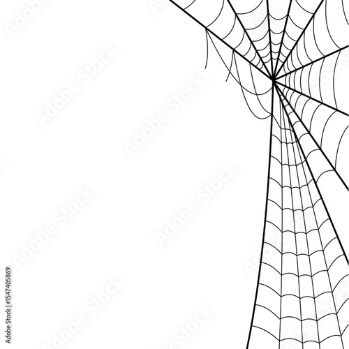 Spider Cob Web Border