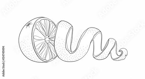 Line Art Illustration of an Orange with Peel