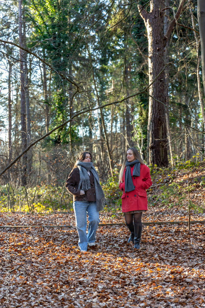 Two female friends on a walk in the forest. Friends walking through the forest. People in nature. Two female friends on a walk in the forest. Friends walking through the forest. People in nature.