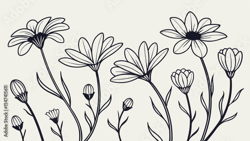 Beautiful elegant hand-drawn daisy flowers and buds line art sketch. Monochrome botanical illustration perfect for nature designs, spring, and summer decorative art.