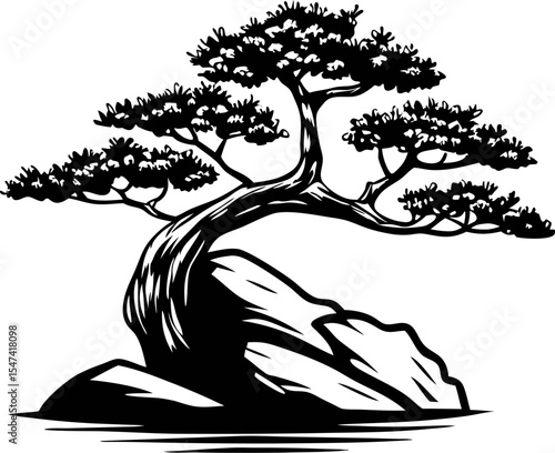 Ink illustration of a twisted bonsai tree growing over jagged rock with detailed foliage on a white background