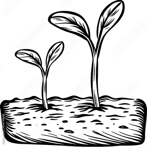 Hand drawn seedling sprouts emerging from soil vintage botanical engraving illustration