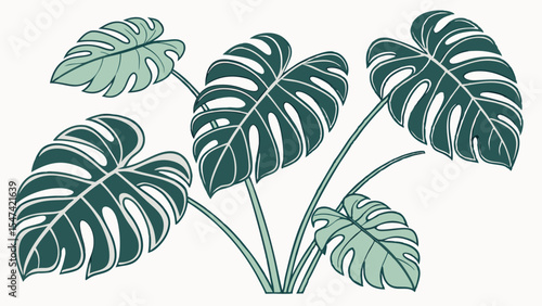 Minimalist green Monstera plant illustration. Elegant vector art of tropical split leaves, a popular houseplant perfect for modern botanical decor.