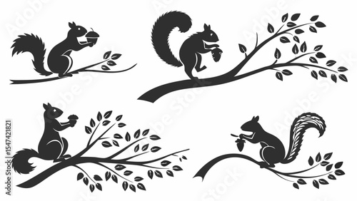 Four black and white squirrel silhouettes on tree branches holding acorns. Vector illustration set of cute forest creatures. Nature graphic design elements.