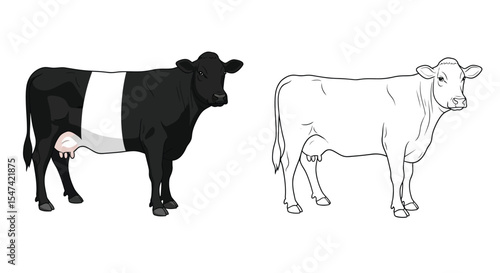 Dutch Belted Cow Coloring Page with Realistic and Outline Views Farm Animal Art Activity
