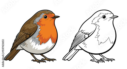 European Robin Coloring Page Featuring Realistic Color and Clear Outline Bird Study