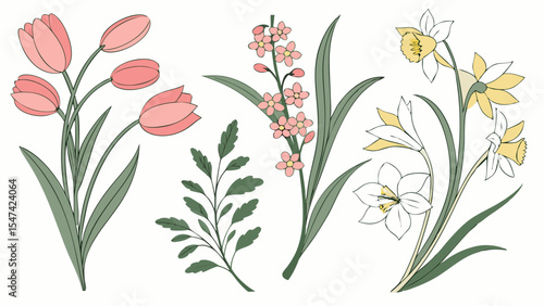 Elegant spring flower vector set with pink tulips, daffodils, hyacinths, and green leaves. Beautiful botanical line art illustration for nature designs.