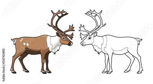 Reindeer Coloring Page with One Colored and One Outline Animal Arctic Wildlife Fun