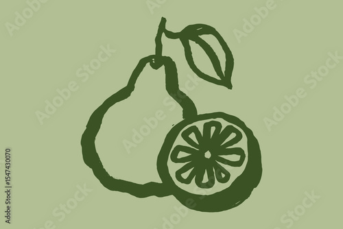bergamot fruit thick line sketch vector illustration