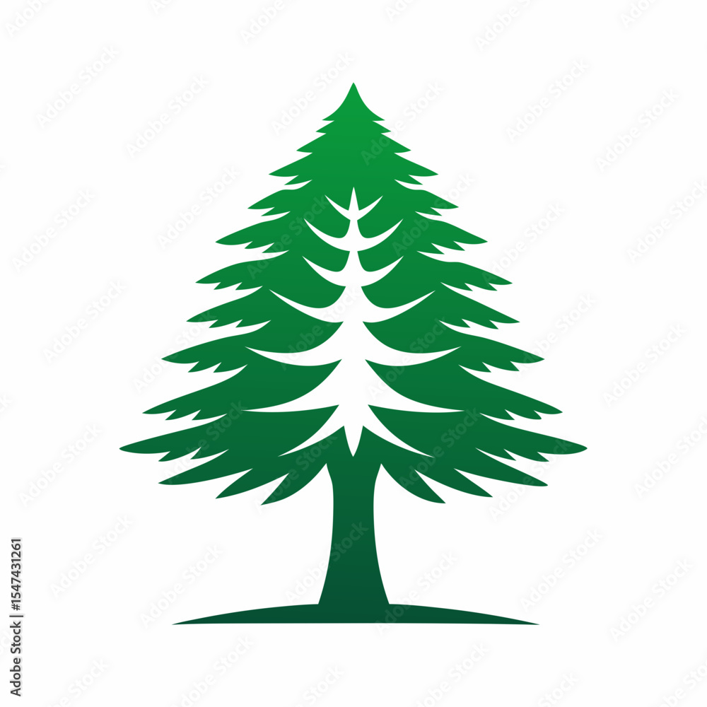 Green evergreen tree isolated on white background Green evergreen tree isolated on white background