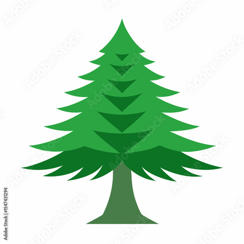Green evergreen tree isolated on white background