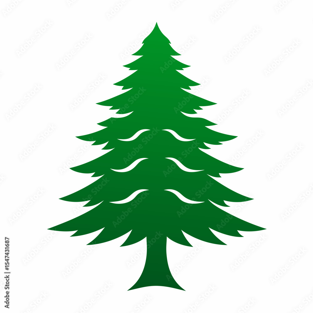 Green evergreen tree isolated on white background Green evergreen tree isolated on white background