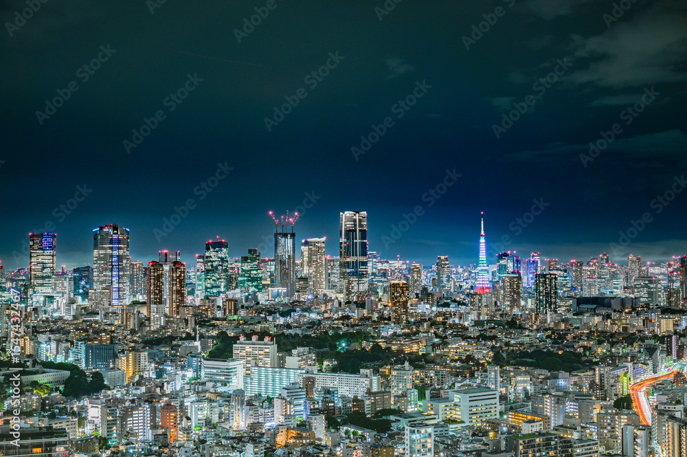 Fototapeta premium 日本の東京の夜景