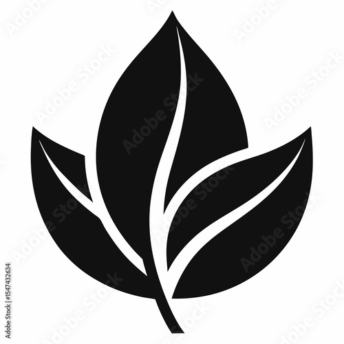Three leaves with prominent veins isolated on white background