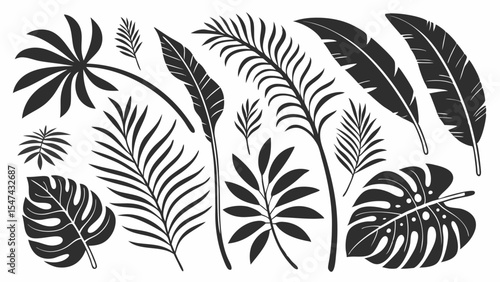 Black and white tropical leaves silhouettes set. Exotic jungle palm and monstera foliage collection for summer design elements and botanical nature vectors.