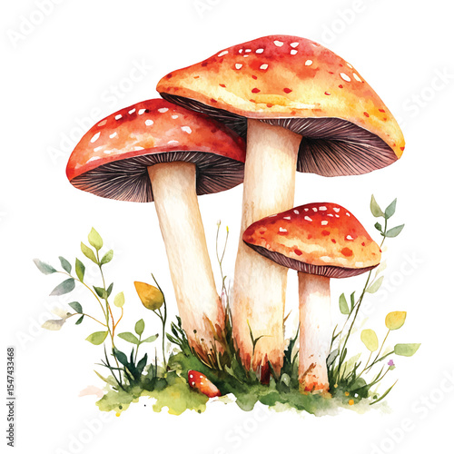 Watercolor mushroom illustration with amanita and foliage on transparent background vector png