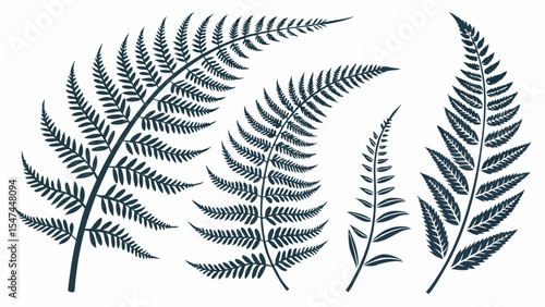 Elegant botanical dark blue fern leaves vector illustration set. Detailed nature plant fronds collection for decorative forest and jungle foliage designs.