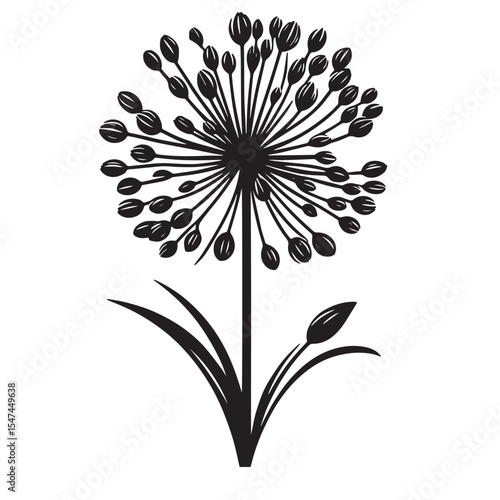 Allium Flower SVG