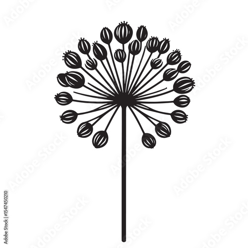 Allium Flower SVG