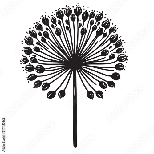 Allium Flower SVG