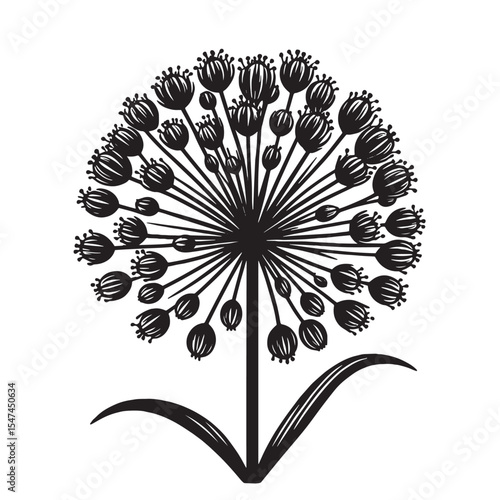 Allium Flower SVG