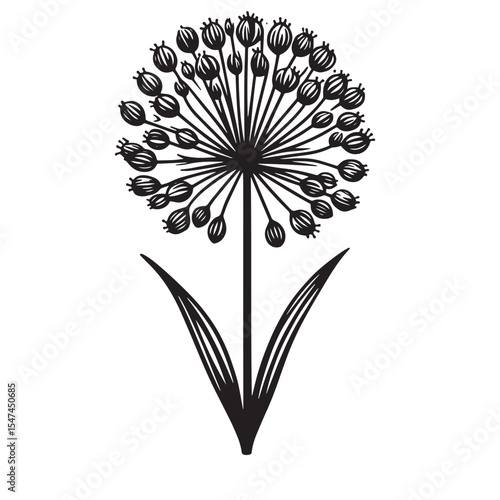 Allium Flower SVG