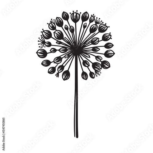 Allium Flower SVG