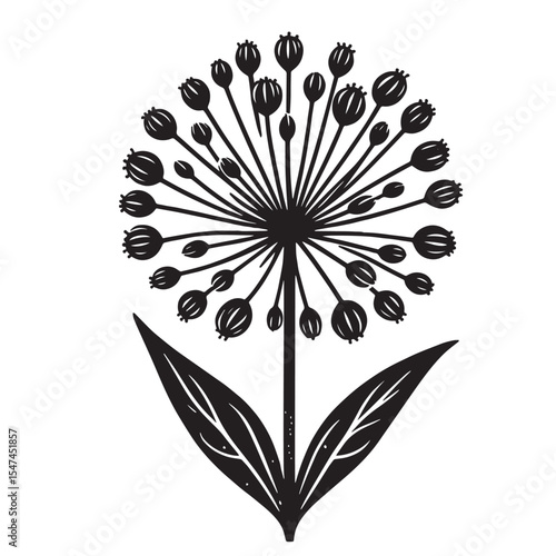 Allium Flower SVG