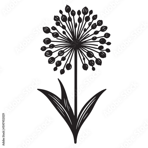 Allium Flower SVG