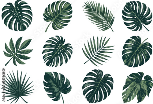  a collection of tropical leaves. Various types of large leaves are depicted. They are drawn with detailed veins and textures.