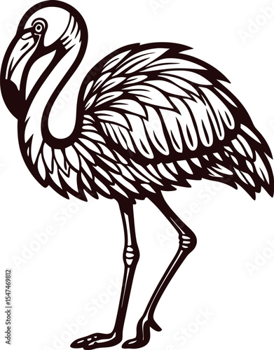 Hand drawn flamingo engraving isolated on white vintage stylized sketch illustration with detailed feather pattern