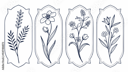 Elegant hand drawn floral illustrations set. Botanical line art flower drawings in decorative vintage frames. Nature sketches.