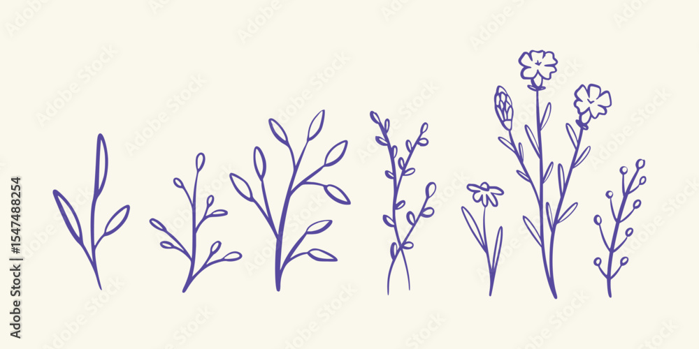 Elegant Botanical Line Art Elements Featuring Leaves and Stems in a Natural Style. Vector art illustration isolated transparent background Elegant Botanical Line Art Elements Featuring Leaves and Stems in a Natural Style. Vector art illustration isolated transparent background