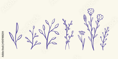 Elegant Botanical Line Art Elements Featuring Leaves and Stems in a Natural Style. Vector art illustration isolated transparent background