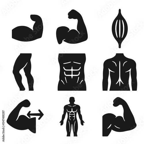 Muscle System Icons. Solid style icons of muscular system: biceps muscle icon, muscular arm, muscle fibers symbol, leg muscles