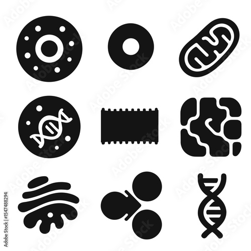 Cell Biology Icons. Solid style icons of cellular anatomy: basic cell icon, cell nucleus symbol, mitochondria icon, DNA strand in