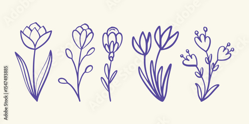 Dainty flower sketches with gentle curves and minimal stems Vector art illustration isolated transparent background