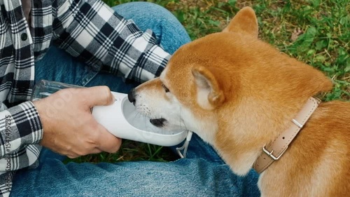 Young man in plaid shirt giving water to his dog from a special bottle during outdoor walk summer park pet care hydration concept companionship	
