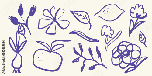 Minimalist garden sketches with wild stem variations and natural balance Vector art illustration isolated transparent background