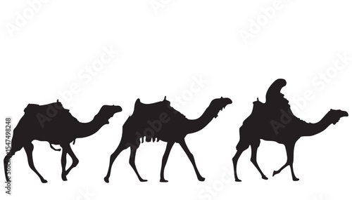 Silhouette of Three Camels with Rider in Caravan on White Background