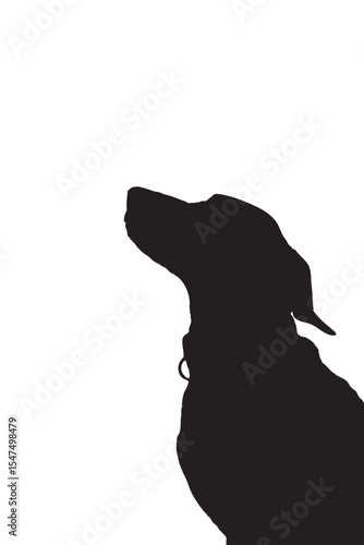 Silhouette of Sitting Dog Looking Up on White Background