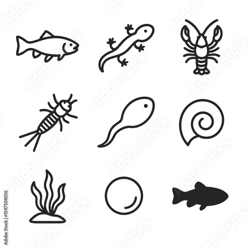 Aquatic Fauna Icons. Outline icon set of aquatic fauna in clear water: trout silhouette, salamander, crayfish, mayfly nymph,