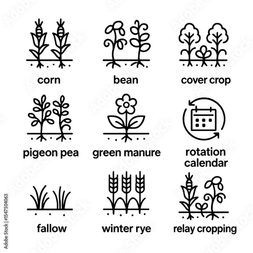 Crop Rotation Icons. icon set of crop rotation practices: corn plot, bean patch, cover crop, pigeon pea bed, green manure,