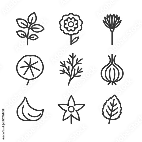 Companion Planting Icons. Outline icon set of companion planting: basil sprig, marigold flower, chive bloom, nasturtium leaf, dill