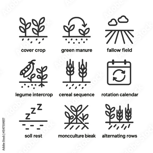 Crop Rotation Icons. Outline icon set of crop rotation practices: cover crop, green manure, fallow field, legume intercrop, cereal